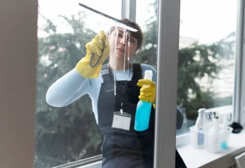Nettoyage de vitres intérieures et extérieures à Apchon